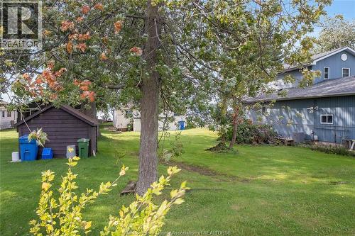 845 Erie Blue, Essex, ON 