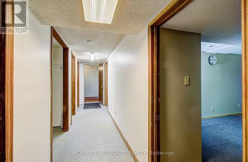 5543 7Th Line, Guelph/Eramosa, ON 