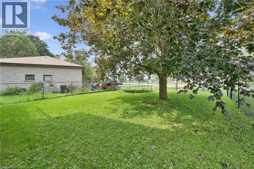 Expansive green lawn with mature tree, bordered by a chain-link fence and brick exterior - 8 Christian Street, Baden, ON 