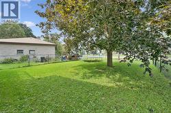 Expansive green lawn with mature tree, bordered by a chain-link fence and brick exterior - 