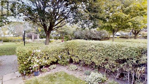 6 - 234 Water Street, Scugog (Port Perry), ON 