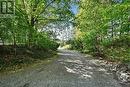 Peaceful and Private but Minutes from Town! - 18061 Highway 48, East Gwillimbury, ON 