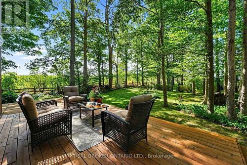 Mature Trees Everywhere You Look - 18061 Highway 48, East Gwillimbury, ON 