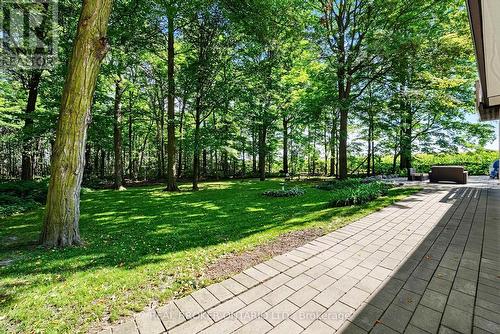 Overlooking Mature Trees - 18061 Highway 48, East Gwillimbury, ON 