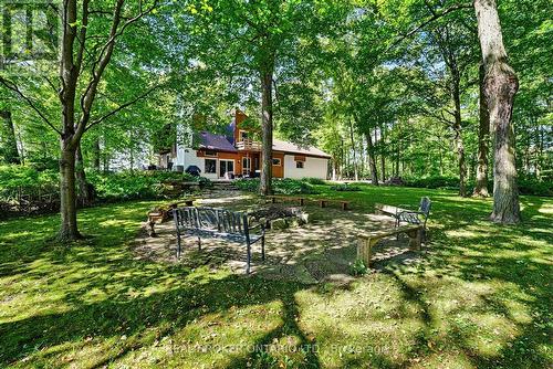 Perfect for Toasting Marshmellows - 18061 Highway 48, East Gwillimbury, ON 