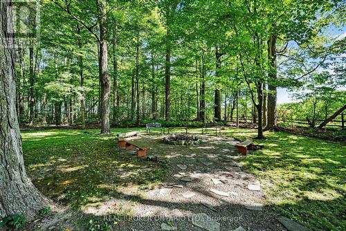 Outdoor Firepit for Cozy Nights - 18061 Highway 48, East Gwillimbury, ON 