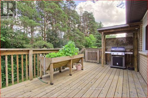 Main Deck - 91 Kate Aitken Crescent, New Tecumseth, ON 