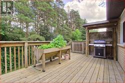 Main Deck - 