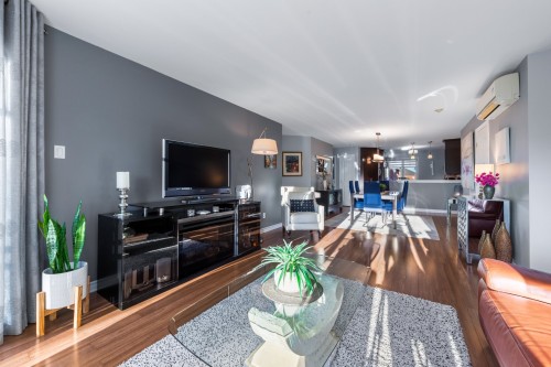 Vue d'ensemble - 5-5715 Rue Condor, Brossard, QC 