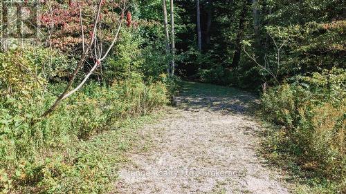 611 Tuscarora Road, Huron-Kinloss, ON 