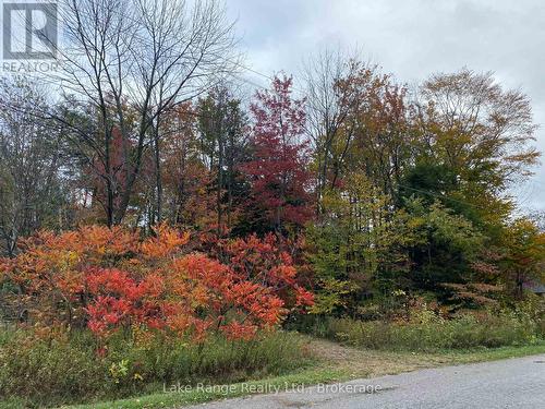 611 Tuscarora Road, Huron-Kinloss, ON 