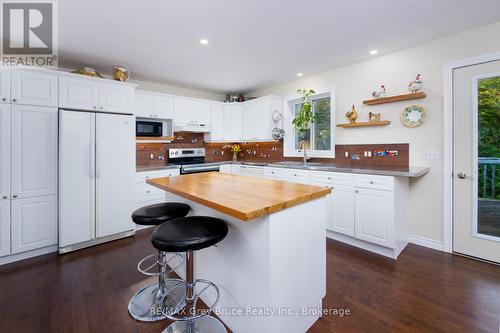 Chef's delight kitchen! - 135 North Diagonal, South Bruce Peninsula, ON 