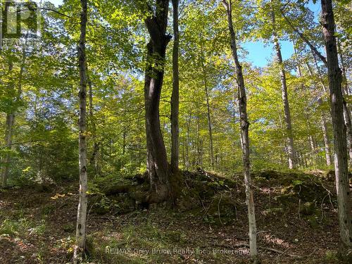 Trail easily accessible by walking or ATV - 135 North Diagonal, South Bruce Peninsula, ON 