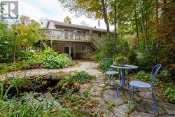 Serene frog pond - 