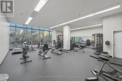 Gym - 