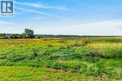 View of expansive open acreage featuring native grasses, meadow vegetation, and mature tree clusters - 
