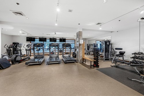 Salle d'exercice - Ph3-1-200 Av. Des Sommets, Montréal (Verdun/Île-Des-Soeurs), QC 