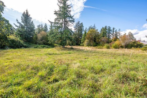 3632 Island Hwy South, Courtenay, BC 