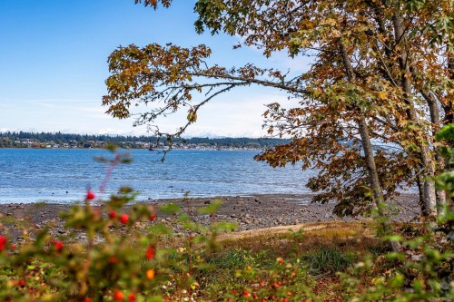 3632 Island Hwy South, Courtenay, BC 