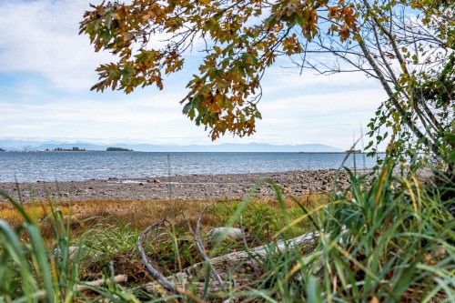 3632 Island Hwy South, Courtenay, BC 