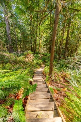 5625 Willow Rd, Port Alberni, BC 