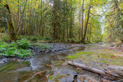 5625 Willow Rd, Port Alberni, BC 