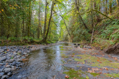 5625 Willow Rd, Port Alberni, BC 