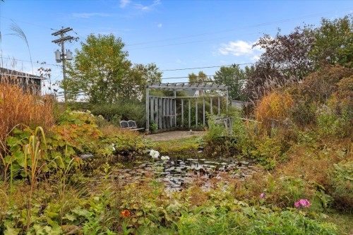 Cour - 302 Rue Langevin, Saint-Odilon-De-Cranbourne, QC 