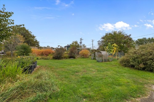 Cour - 302 Rue Langevin, Saint-Odilon-De-Cranbourne, QC 
