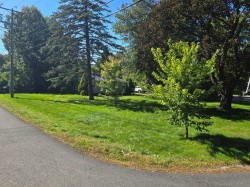 Rue Sunny Acres Baie-D'Urfé, QC H9X 3B6