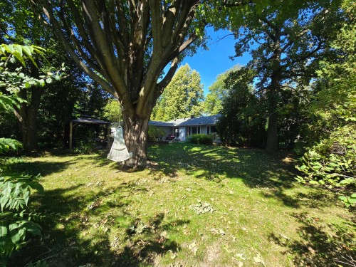 Cour - 14 Rue Sunny Acres, Baie-D'Urfé, QC 