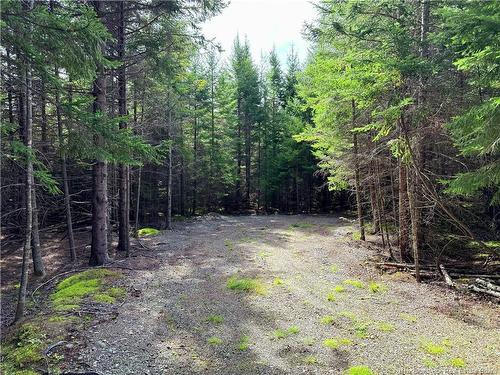 5 Spurline Ave, Pennfield, NB 