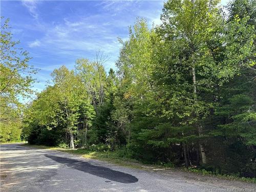 5 Spurline Ave, Pennfield, NB 
