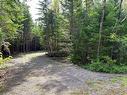 5 Spurline Ave, Pennfield, NB 