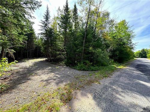 5 Spurline Ave, Pennfield, NB 