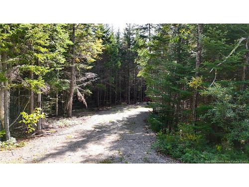 5 Spurline Ave, Pennfield, NB 