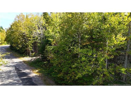 5 Spurline Ave, Pennfield, NB 