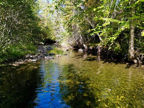 Autre - 39Z Ch. Galson, Lingwick, QC 