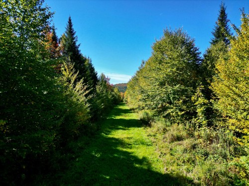 Autre - 39Z Ch. Galson, Lingwick, QC 