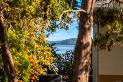 1601 Mileva Lane, Saanich, BC 