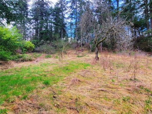 1015 Park Ave, Nanaimo, BC 