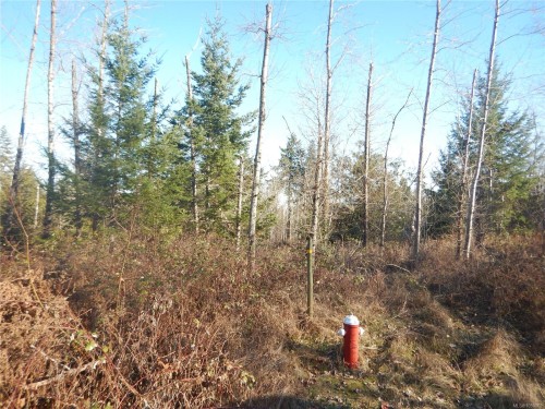 Lot 2 Artela Dr, Fanny Bay, BC 