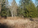 Lot 2 Artela Dr, Fanny Bay, BC 