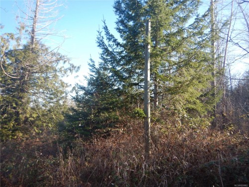 Lot 2 Artela Dr, Fanny Bay, BC 