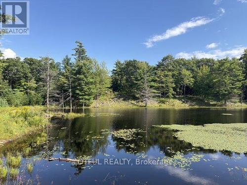 101 Maberly Station Road, Tay Valley, ON 