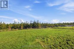 Huge backyard! - 
