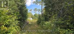 1331 MILLER ROAD Magnetawan, ON P0A 1P0
