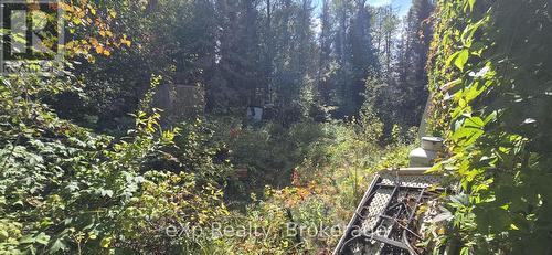 1331 Miller Road, Magnetawan, ON 