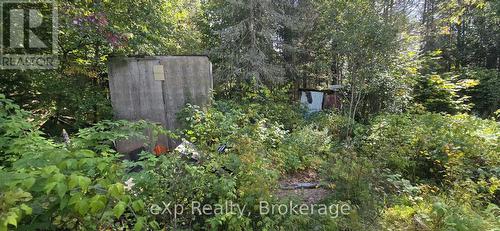 1331 Miller Road, Magnetawan, ON 