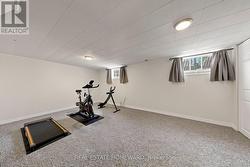 Basement Bedroom/Exercise Room - 